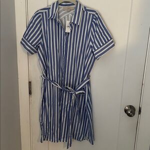 LOFT Blue and White Striped Dress